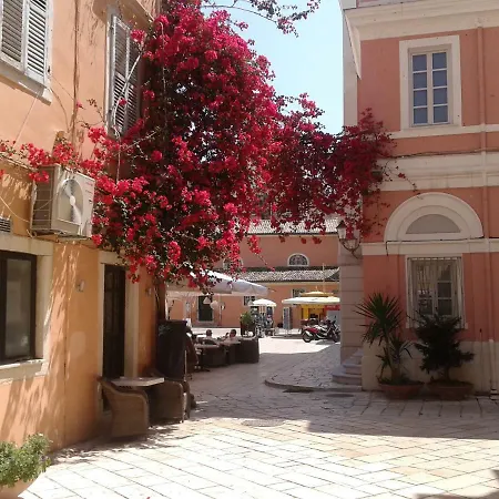 Daphne * Pelekas